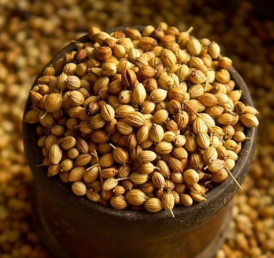 Coriander Seed