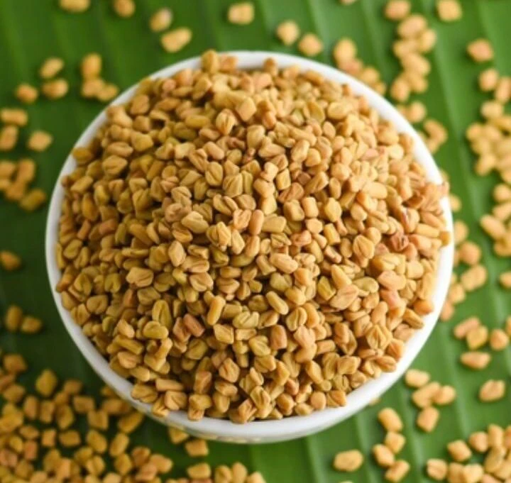 Fenugreek Seed