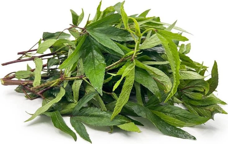 Pulicha Keerai Seed