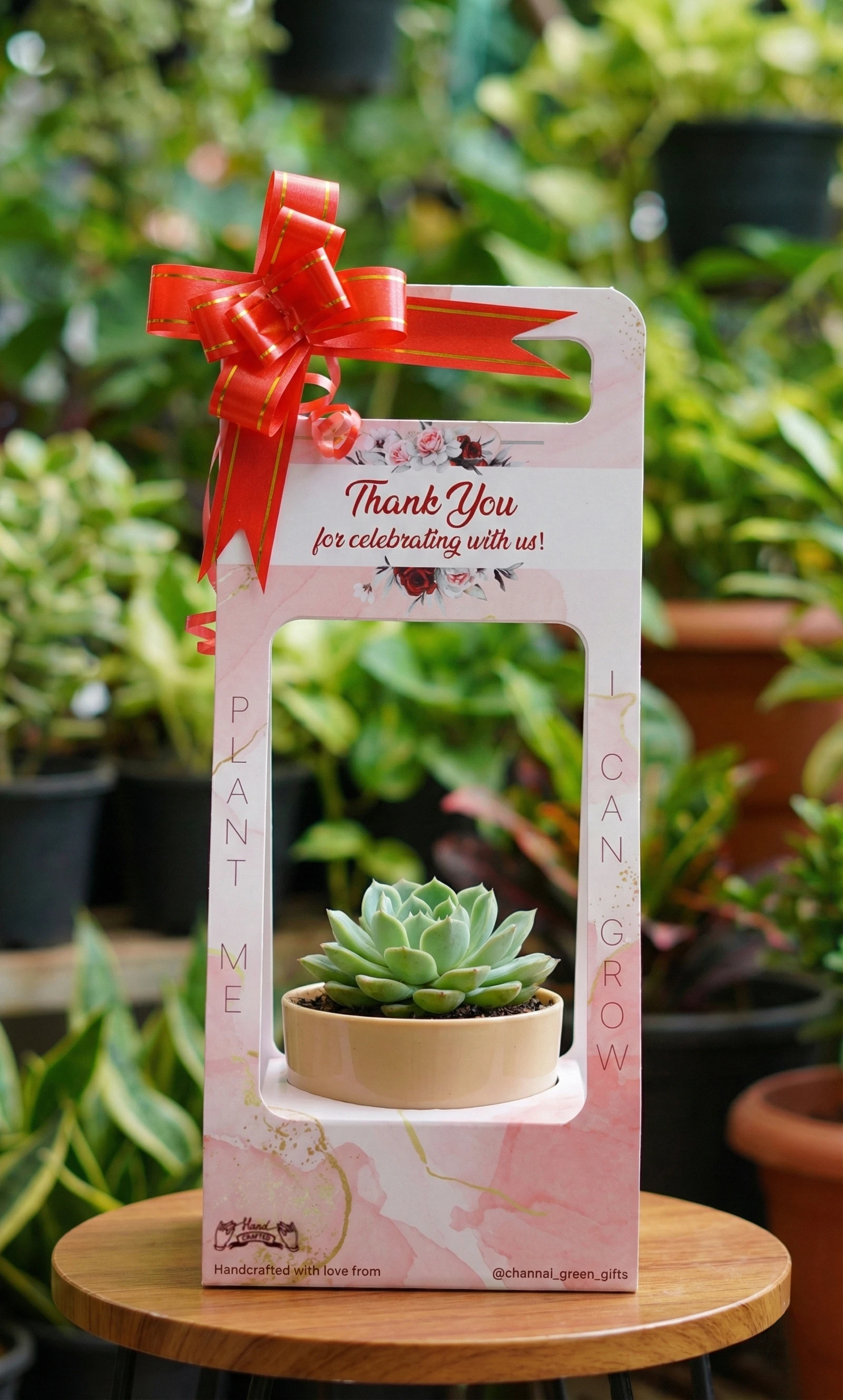 Succulent Hamper