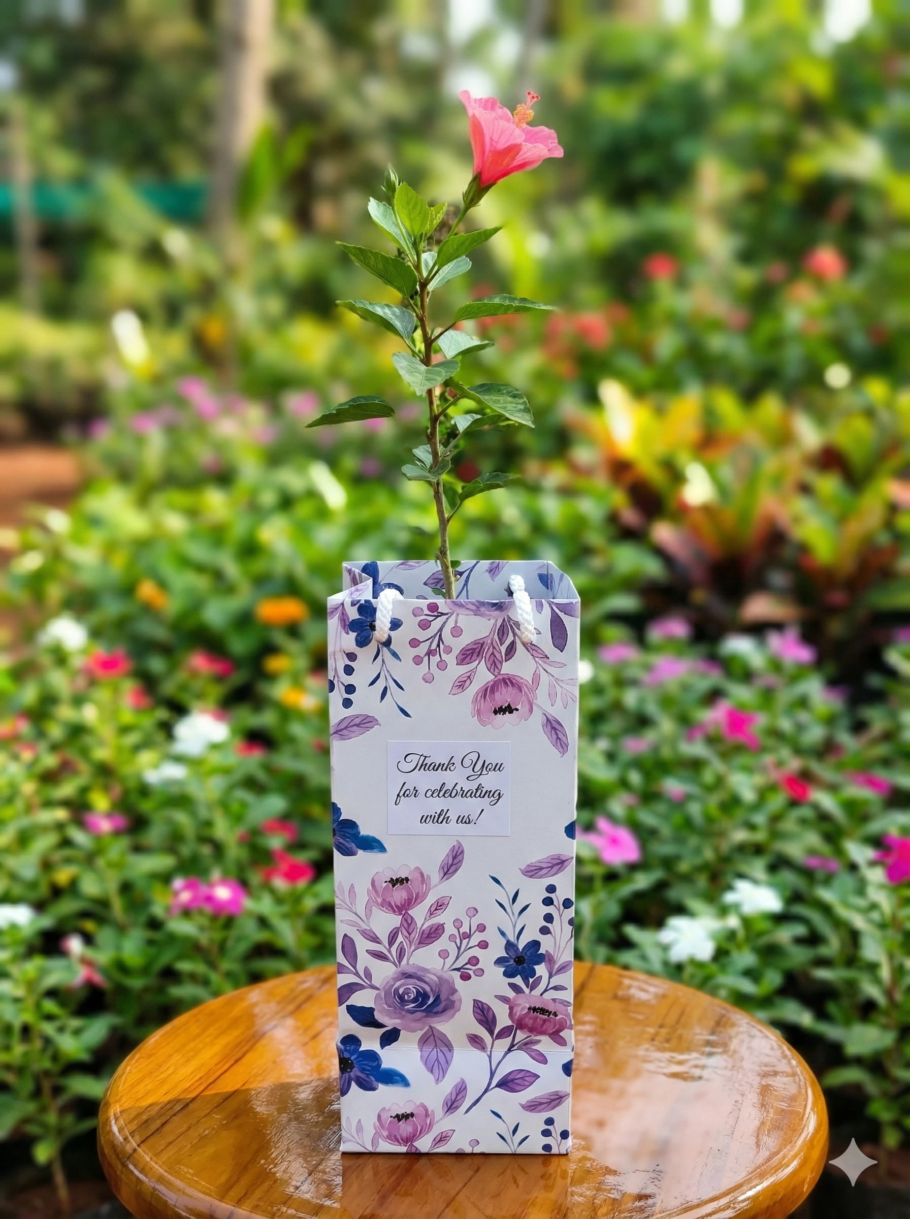 Plant with paper bag