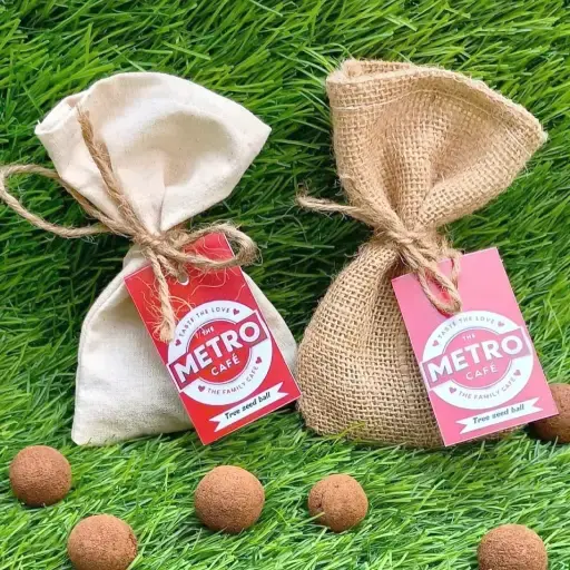 Seed Balls