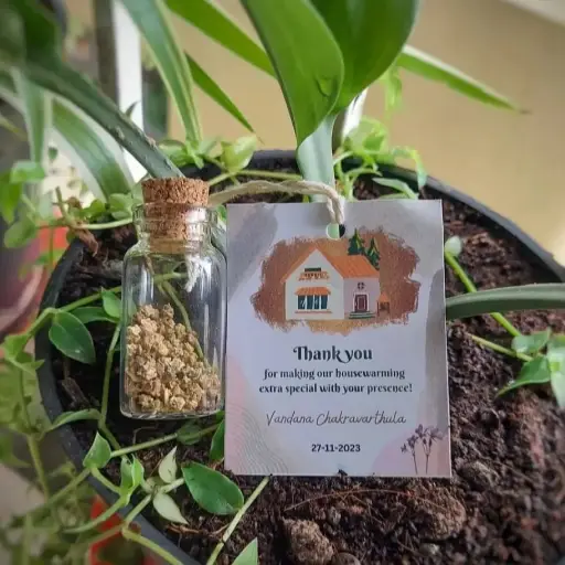 Seed Bottle